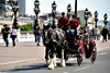PARIS CALECHES